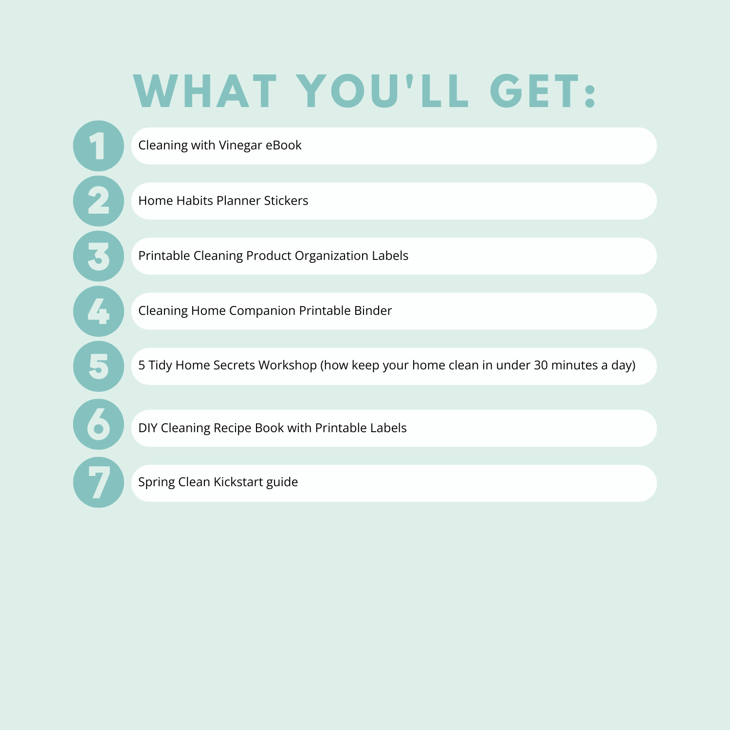 cleaning essentials printable resources